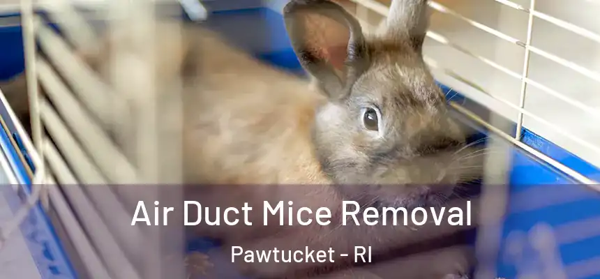  Air Duct Mice Removal Pawtucket - RI