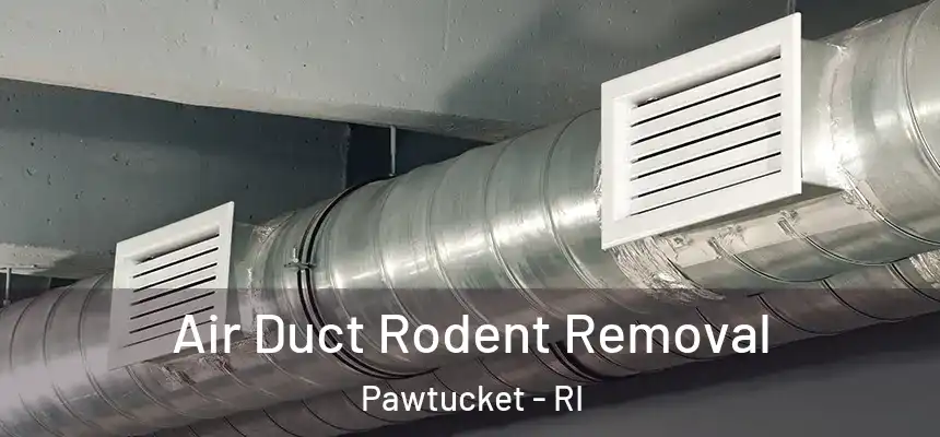 Air Duct Rodent Removal Pawtucket - RI