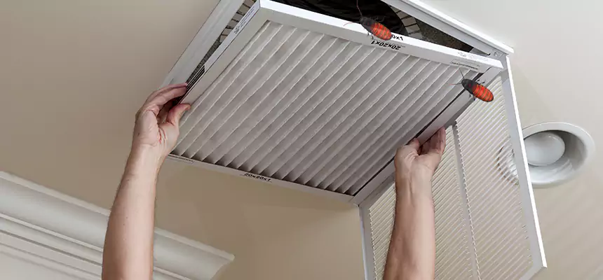 Preventive Cockroach-Proofing for Ducts in Pawtucket