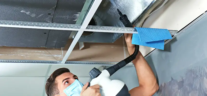 Our Air Duct Rodent Removal Services in Pawtucket, RI