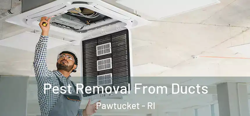 Pest Removal From Ducts Pawtucket - RI