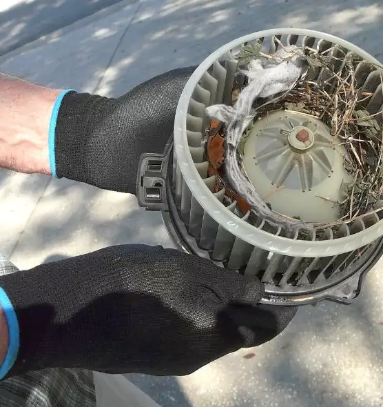 About Air Duct Mice Removal in Pawtucket, RI