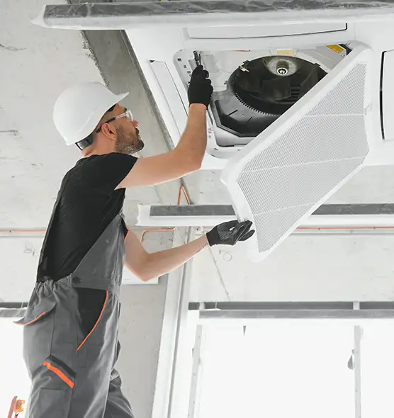 About Air Duct Rodent Removal in Pawtucket, RI